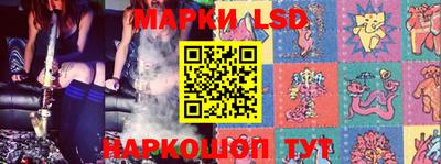 шишки Камышлов