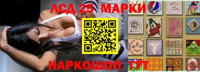шишки Камышлов