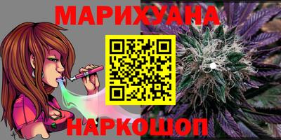шишки Камышлов