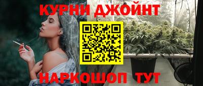 шишки Камышлов