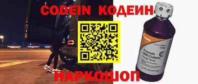 шишки Камышлов